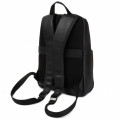 Рюкзак для ноутбука Piquadro VANGUARD/Black CA4779W96_N