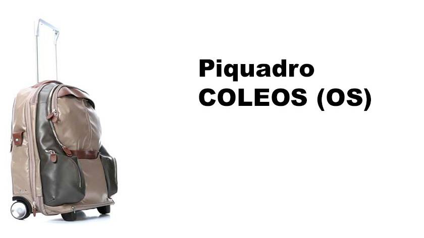 Валізи на колесах Piquadro Coleos (OS)